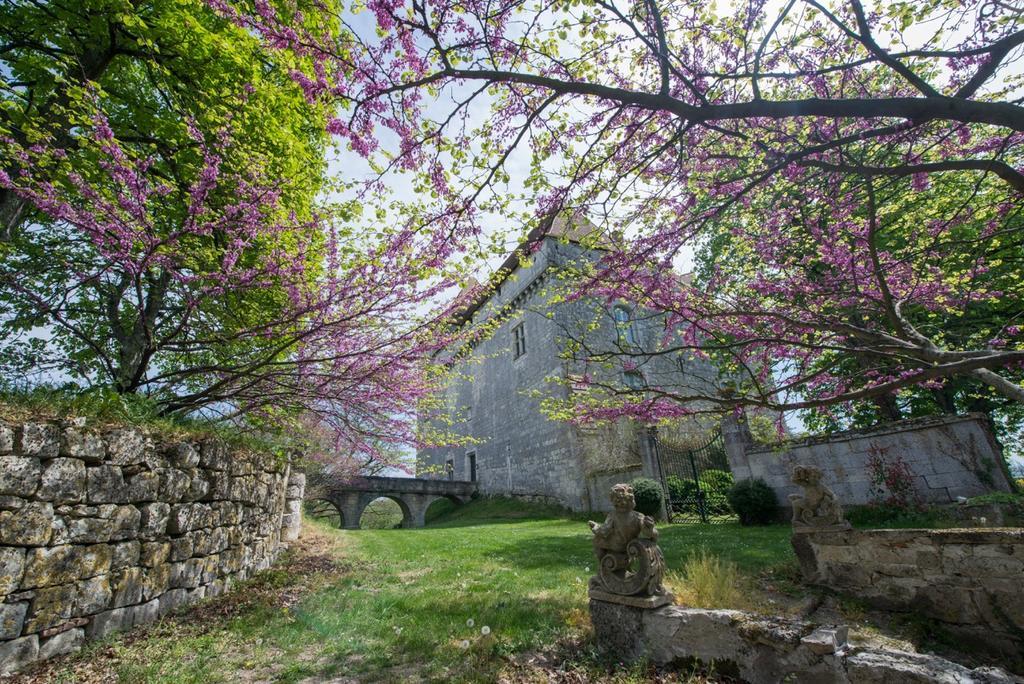 Chateau De Goudourville Villa Kültér fotó