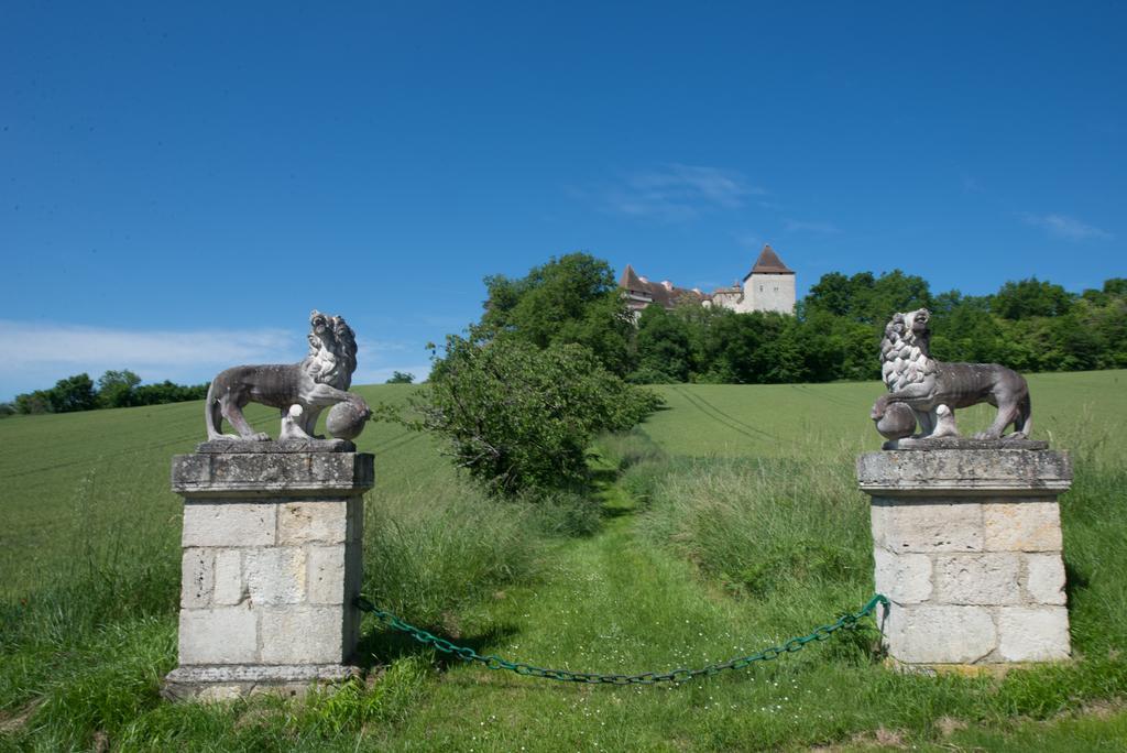 Chateau De Goudourville Villa Kültér fotó